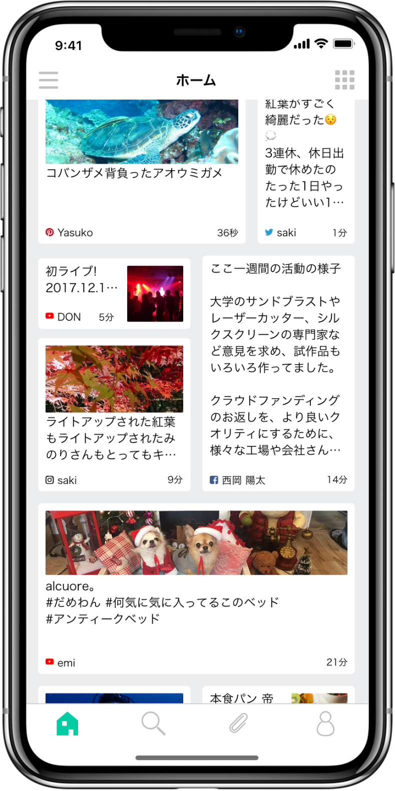 Socialis